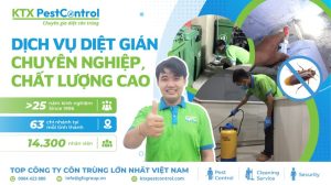 dịch vụ diệt gián