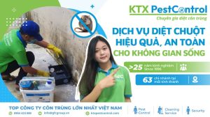 dịch vụ diệt chuột