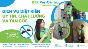 dịch vụ diệt kiến