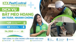 dịch vụ bắt mèo hoang