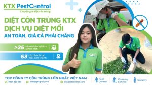 dịch vụ diệt mối