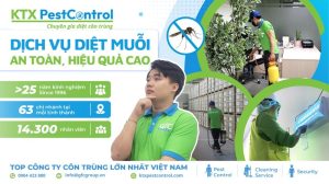 dịch vụ diệt muỗi