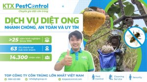 dịch vụ diệt ong
