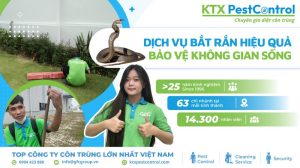 dịch vụ bắt rắn