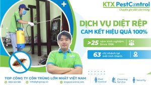 dịch vụ diệt rệp