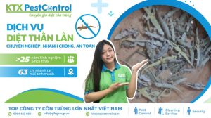 dịch vụ bắt thằn lằn