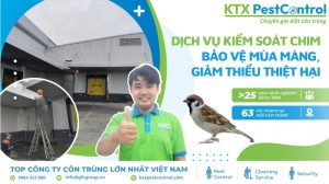 dịch vụ kiểm soát chim