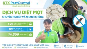 dịch vụ diệt mọt