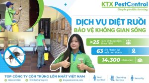 dịch vụ diệt ruồi