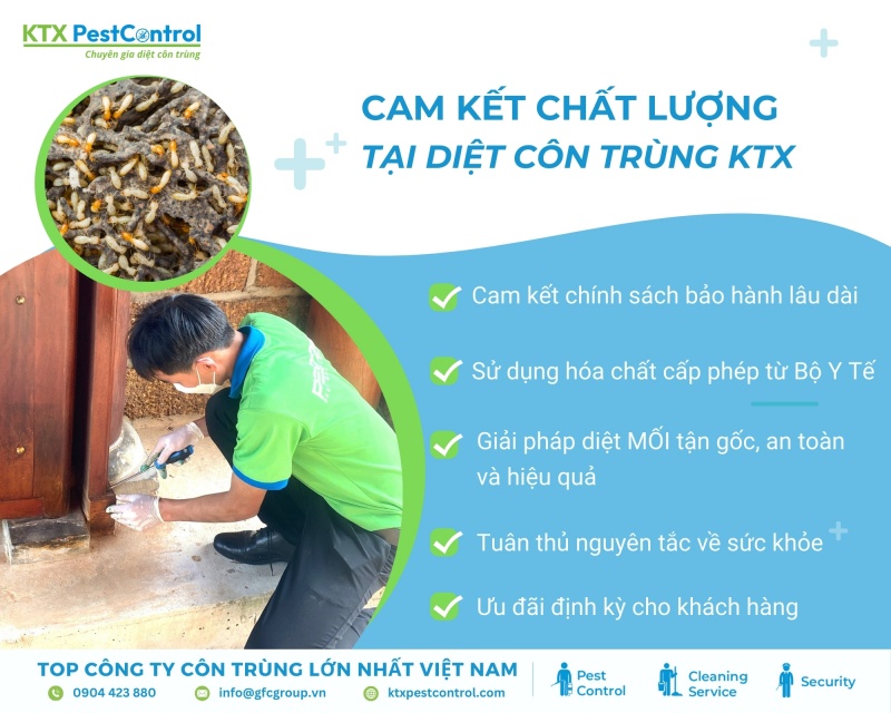 KTX cam kết cung cấp dịch vụ diệt mối chất lượng, uy tín cho khách hàng tại quận Hoàn Kiếm