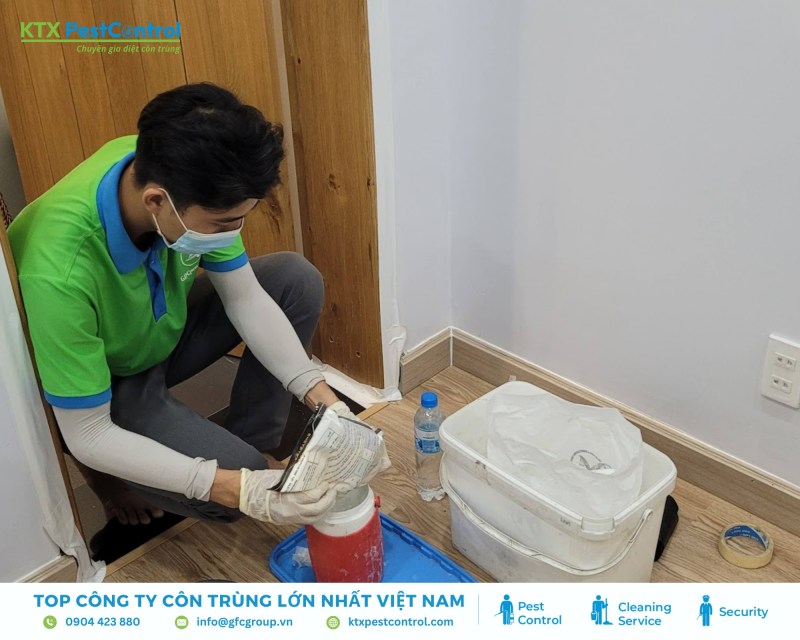 Kỹ thuật viên rắc thuốc PMC 90 vào hộp để mối mang về tổ, lây nhiễm cho cả đàn