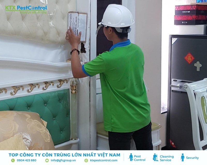 Kỹ thuật viên khảo sát và đặt hộp nhử tại vị trí mối xuất hiện để thu hút mối