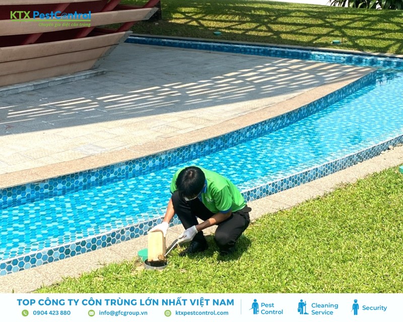 KTX xử lý mối bằng thuốc chuyên dụng, phun, đặt bả và khoan-bơm thuốc