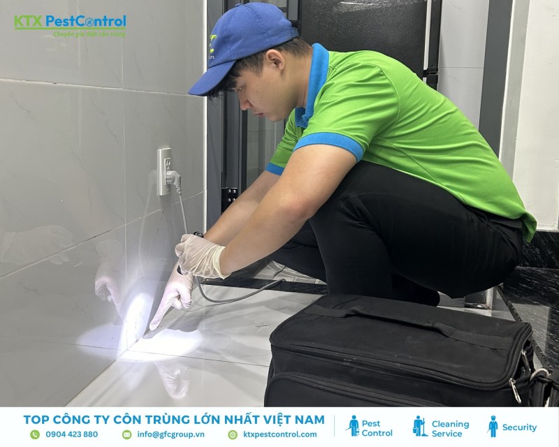 Kỹ thuật viên khảo sát và xác định mức độ mối