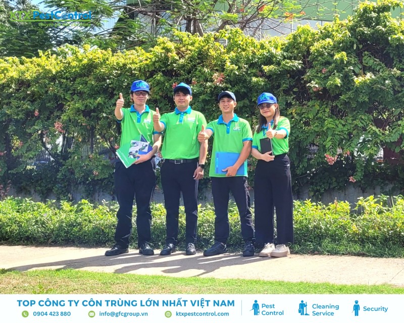 Diệt Côn Trùng KTX đã có hơn 28 năm kinh nghiệm trong xử lý pallet gỗ đạt chuẩn ISPM 15