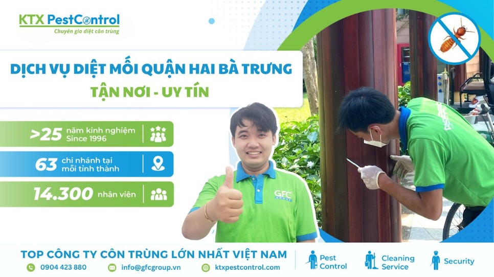 Dịch vụ diệt mối quận Hai Bà Trưng tận nơi, uy tín